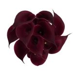 Calla Lily Cranberry