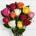 12 Roses - Farm Assorted Colors1