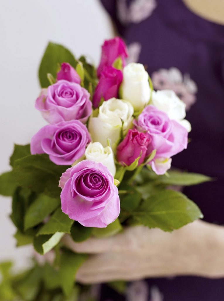 Meaning of Roses, Varieties and Significance - Toronto Bulk Flowers